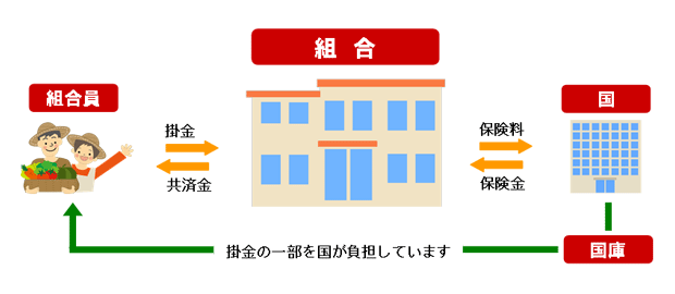 ＮＯＳＡＩの仕組み